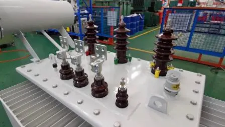 Trasformatore di distribuzione dell'olio a bassa perdita, trasformatore elettrico da 33 kV, fabbrica e produttore da 30 anni.  Possibilità di spedizione in tutto il mondo.  Ottieni preventivi gratuiti adesso